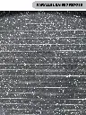 27912.webp