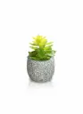 WT5329 - ARTIFICIAL PLANTS- FERN PLANT SMALL STONE POT