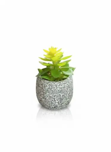 [WT5329] WT5329 - ARTIFICIAL PLANTS- FERN PLANT SMALL STONE POT